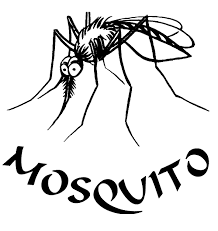 editions mosquito